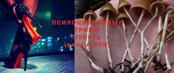 прущие крисы Абаза