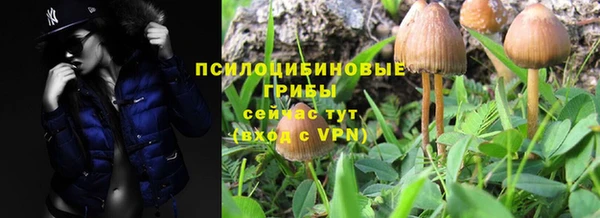 прущие крисы Абаза