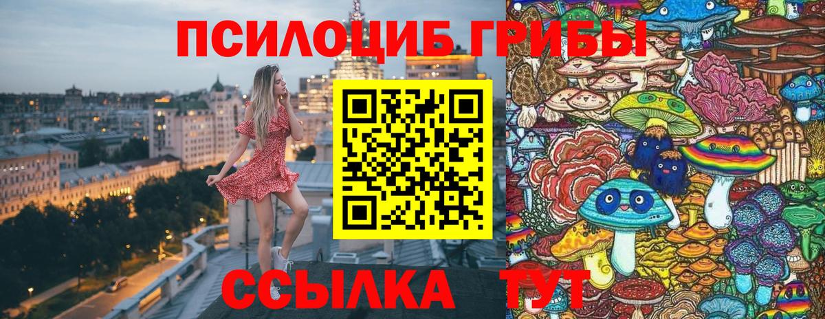 Кострома  Псилоцибиновые грибы мицелий  где продают   Вход с VPN 