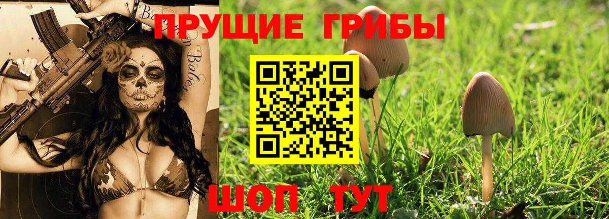 Псилоцибиновые грибы ЛСД Кострома